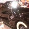coot12