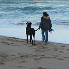 Cindy Beale Campbell