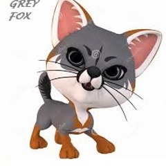 gigigreyfox