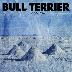 BULL TERRIER (Band)
