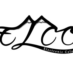 Electronic Colorado