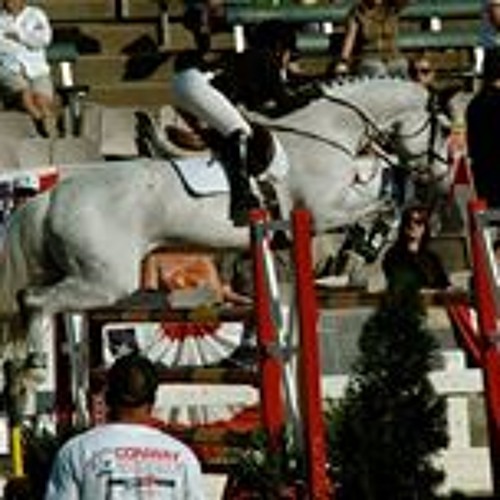 Stream Lauren Steiner Music Listen To Songs Albums Playlists For