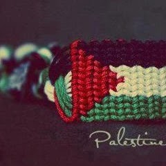 Nasser idden Shaheen 1