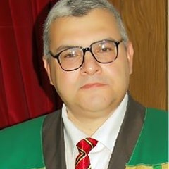 Mohamed Abd Elfattah 5