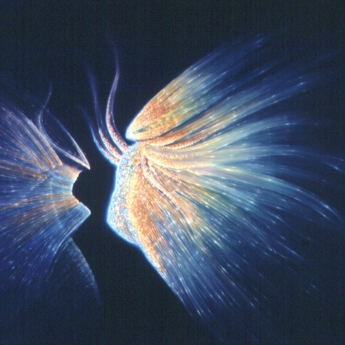 Claude Debusy Clair De Lune By Val