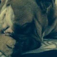 Juan Camilo Casallas V