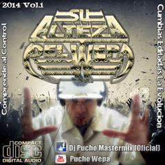 Dj Pucho Mastermix 2014