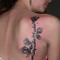 Depeche_Steph