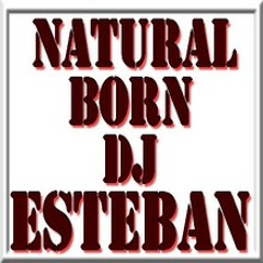 djesteban2011
