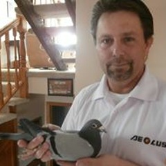 Northland Pigeon Lofts