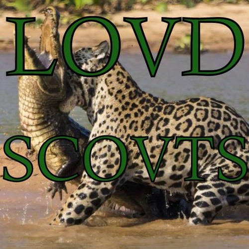 LOVD SCOVTS’s avatar