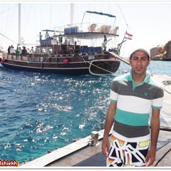 semo alex