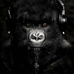 Monkey3rd