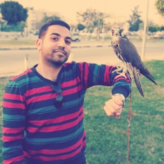 Beshoy R. Nageeb