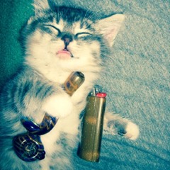 trippy_kitty