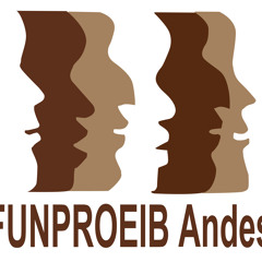 FUNPROEIB Andes