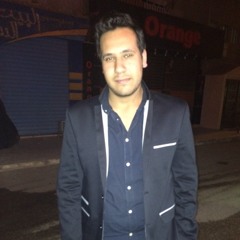 Mohamed Ashraf Sallam