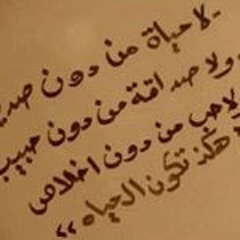 Yasser Zahran 4