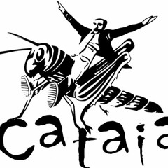 Cataia Multicultural