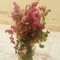 Amkhaled Assaf