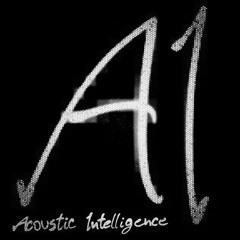 Acoustic Intelligence Duo