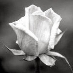 Maria Claudia Berraondo