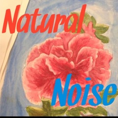 NaturalNoise