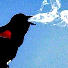 The Good Corporation