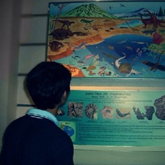 setya tri