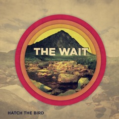 Hatch The Bird