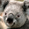 Rob Fryer 2