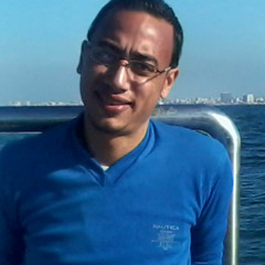 Fawzy El Gamal