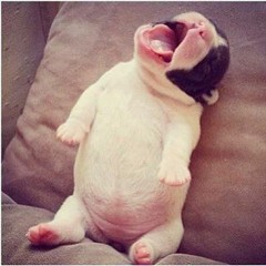 Laura Cuesta Escarraga