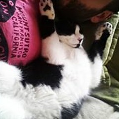 Fikri Yüzbaşıoğlu