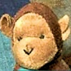 Fire Monkey