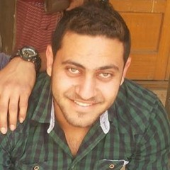 Z Hassan Elsayed Z