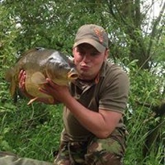 Mad Carper Ste Warren