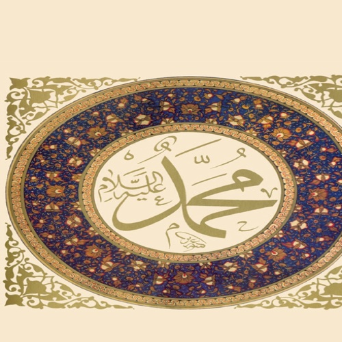 Darul Habibi