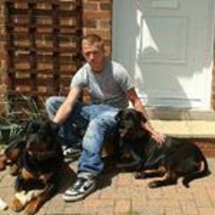 Steven's Merkaah Chafer