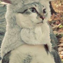 Й
