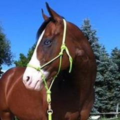 Bettina Braunsteiner