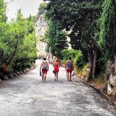 Tara Gallagher Harris