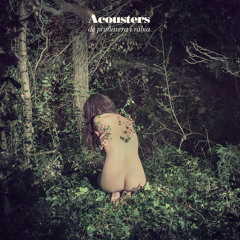 Acousters