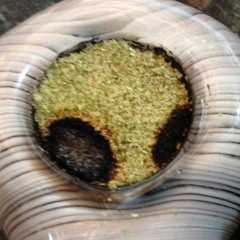 SMOKE WEED 420