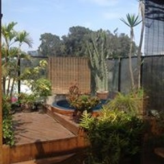 Andres Gonzalez-Ilski