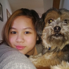 My Vu