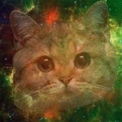 9Lives Official