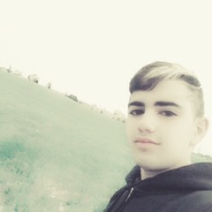 omrilevi3225