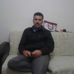 Şahin19