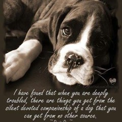 Monica Chitkara Brown